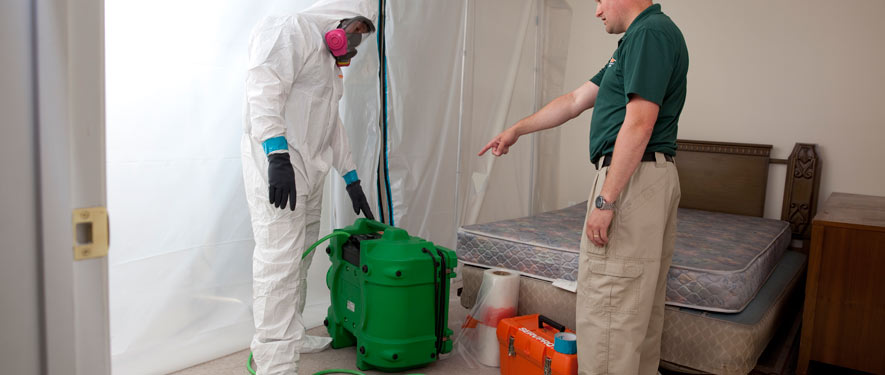 Barrie, ON mold removal process